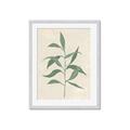 Picture of Swaying Foliage V _GroupedProduct_Rectangle_Portrait_Framed_Matted_