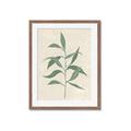 Picture of Swaying Foliage V _GroupedProduct_Rectangle_Portrait_Framed_Matted_