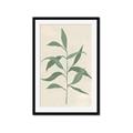 Picture of Swaying Foliage V _GroupedProduct_Rectangle_Portrait_Framed_Matted_