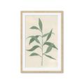 Picture of Swaying Foliage V _GroupedProduct_Rectangle_Portrait_Framed_Matted_