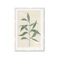 Picture of Swaying Foliage V _GroupedProduct_Rectangle_Portrait_Framed_Matted_