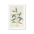 Picture of Swaying Foliage V _GroupedProduct_Rectangle_Portrait_Framed_Matted_
