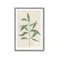 Picture of Swaying Foliage V _GroupedProduct_Rectangle_Portrait_Framed_Matted_