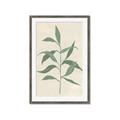 Picture of Swaying Foliage V _GroupedProduct_Rectangle_Portrait_Framed_Matted_