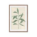 Picture of Swaying Foliage V _GroupedProduct_Rectangle_Portrait_Framed_Matted_