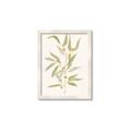 Picture of Botanical Strand III _GroupedProduct_Rectangle_Portrait_Framed_Matted_