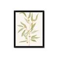 Picture of Botanical Strand III _GroupedProduct_Rectangle_Portrait_Framed_Matted_