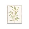 Picture of Botanical Strand III _GroupedProduct_Rectangle_Portrait_Framed_Matted_