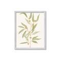 Picture of Botanical Strand III _GroupedProduct_Rectangle_Portrait_Framed_Matted_