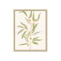 Picture of Botanical Strand III _GroupedProduct_Rectangle_Portrait_Framed_Matted_