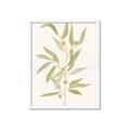 Picture of Botanical Strand III _GroupedProduct_Rectangle_Portrait_Framed_Matted_