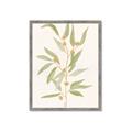 Picture of Botanical Strand III _GroupedProduct_Rectangle_Portrait_Framed_Matted_