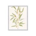 Picture of Botanical Strand III _GroupedProduct_Rectangle_Portrait_Framed_Matted_