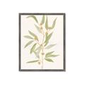 Picture of Botanical Strand III _GroupedProduct_Rectangle_Portrait_Framed_Matted_