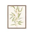 Picture of Botanical Strand III _GroupedProduct_Rectangle_Portrait_Framed_Matted_