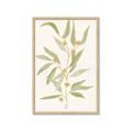 Picture of Botanical Strand III _GroupedProduct_Rectangle_Portrait_Framed_Matted_