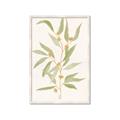 Picture of Botanical Strand III _GroupedProduct_Rectangle_Portrait_Framed_Matted_