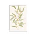 Picture of Botanical Strand III _GroupedProduct_Rectangle_Portrait_Framed_Matted_