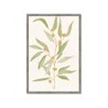 Picture of Botanical Strand III _GroupedProduct_Rectangle_Portrait_Framed_Matted_