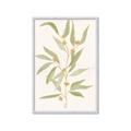 Picture of Botanical Strand III _GroupedProduct_Rectangle_Portrait_Framed_Matted_