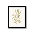 Picture of Botanical Strand III _GroupedProduct_Rectangle_Portrait_Framed_Matted_