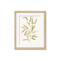 Picture of Botanical Strand III _GroupedProduct_Rectangle_Portrait_Framed_Matted_