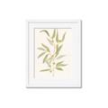 Picture of Botanical Strand III _GroupedProduct_Rectangle_Portrait_Framed_Matted_