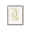 Picture of Botanical Strand III _GroupedProduct_Rectangle_Portrait_Framed_Matted_