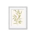 Picture of Botanical Strand III _GroupedProduct_Rectangle_Portrait_Framed_Matted_