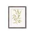 Picture of Botanical Strand III _GroupedProduct_Rectangle_Portrait_Framed_Matted_