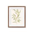 Picture of Botanical Strand III _GroupedProduct_Rectangle_Portrait_Framed_Matted_