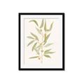 Picture of Botanical Strand III _GroupedProduct_Rectangle_Portrait_Framed_Matted_