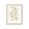 Picture of Botanical Strand III _GroupedProduct_Rectangle_Portrait_Framed_Matted_
