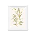 Picture of Botanical Strand III _GroupedProduct_Rectangle_Portrait_Framed_Matted_