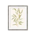 Picture of Botanical Strand III _GroupedProduct_Rectangle_Portrait_Framed_Matted_