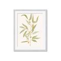 Picture of Botanical Strand III _GroupedProduct_Rectangle_Portrait_Framed_Matted_
