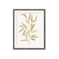 Picture of Botanical Strand III _GroupedProduct_Rectangle_Portrait_Framed_Matted_