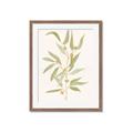 Picture of Botanical Strand III _GroupedProduct_Rectangle_Portrait_Framed_Matted_
