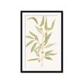 Picture of Botanical Strand III _GroupedProduct_Rectangle_Portrait_Framed_Matted_