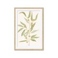 Picture of Botanical Strand III _GroupedProduct_Rectangle_Portrait_Framed_Matted_