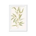 Picture of Botanical Strand III _GroupedProduct_Rectangle_Portrait_Framed_Matted_