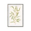 Picture of Botanical Strand III _GroupedProduct_Rectangle_Portrait_Framed_Matted_