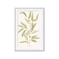 Picture of Botanical Strand III _GroupedProduct_Rectangle_Portrait_Framed_Matted_
