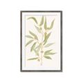 Picture of Botanical Strand III _GroupedProduct_Rectangle_Portrait_Framed_Matted_