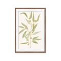 Picture of Botanical Strand III _GroupedProduct_Rectangle_Portrait_Framed_Matted_