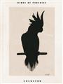 Picture of Vintage Cockatoo _GroupedProduct_Rectangle_Portrait_Unframed_Print_Only_