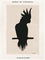 Picture of Vintage Cockatoo _GroupedProduct_Rectangle_Portrait_Unframed_Print_Only_