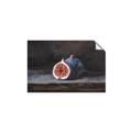 Picture of Pomegrenate Still Life I _GroupedProduct_Rectangle_Landscape_Unframed_Print_Only_