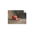 Picture of Pomegrenate Still Life II _GroupedProduct_Rectangle_Landscape_Unframed_Print_Only_