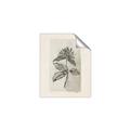 Picture of Vintage Flower II _GroupedProduct_Rectangle_Portrait_Unframed_Print_Only_